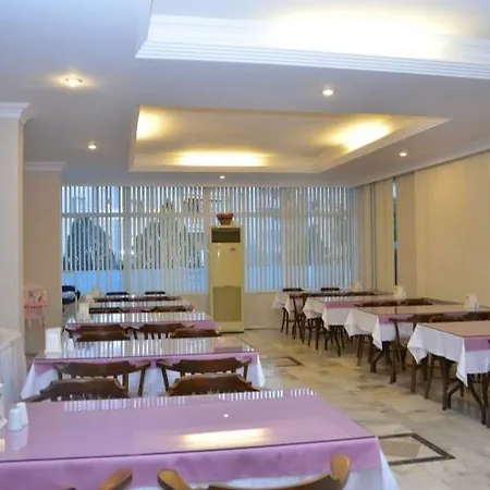Efsanem Ayvalı