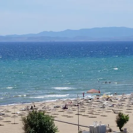 Efsanem Ayvalı